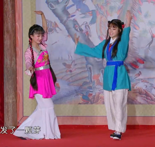 新款古装表演黄梅戏对花丫环扮相服装书童演出服戏曲表演舞蹈服装