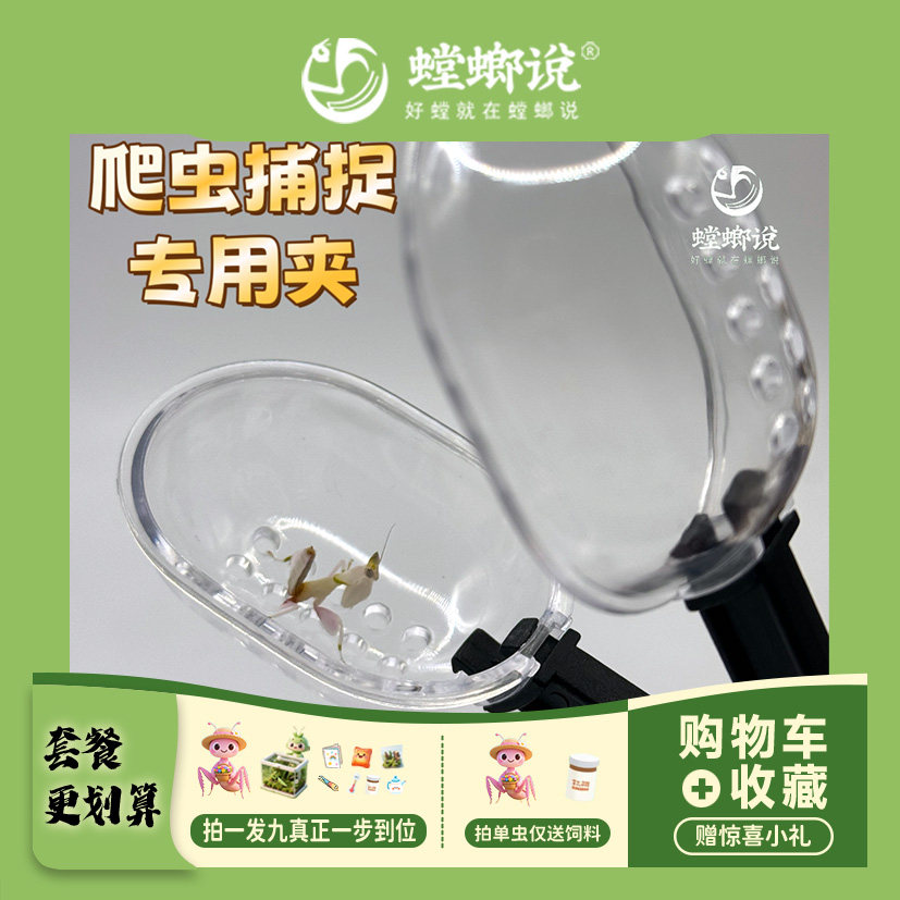螳螂说爬宠专用捕捉夹防止爬虫抓伤器具及捕捉用具
