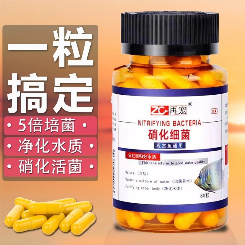 硝化细菌胶囊鱼缸专用净水剂水质稳定剂鱼药消化活菌干粉养鱼用品