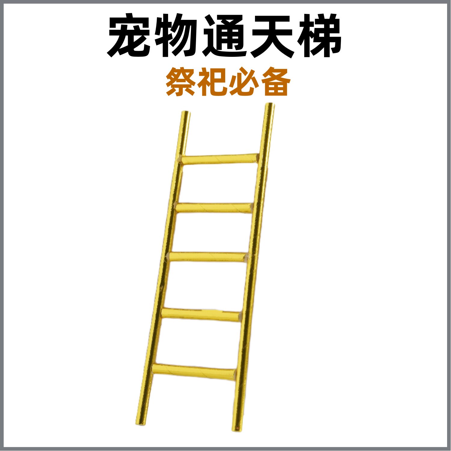 猫狗埋葬殡葬去世烧纸天