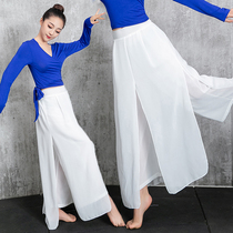 New classical dance practice pants chiffon skirt pants modern dancer elegant dance clothes jazz performance clothes yoga clothes