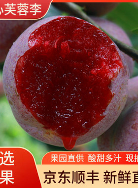 古田芙蓉李红心李新鲜水果三华李脱骨李子桃形奈李酸甜脆孕妇精品