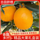 福建古田三保脐橙古田脐橙子新鲜脐橙纽荷尔脐橙新鲜水果10斤礼盒