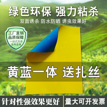 黄蓝一体粘虫板黄板蓝板防水大棚飞虫蓟马小黑飞送扎丝双面防虫纸
