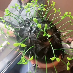 创意头顶长草发夹游戏惩罚道具一根草可爱小豆芽顶夹发卡搞怪头饰