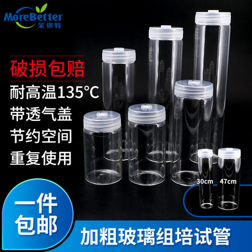 茉钡特生物加粗玻璃组培试管高硼硅耐高温高压灭菌透气初代培养
