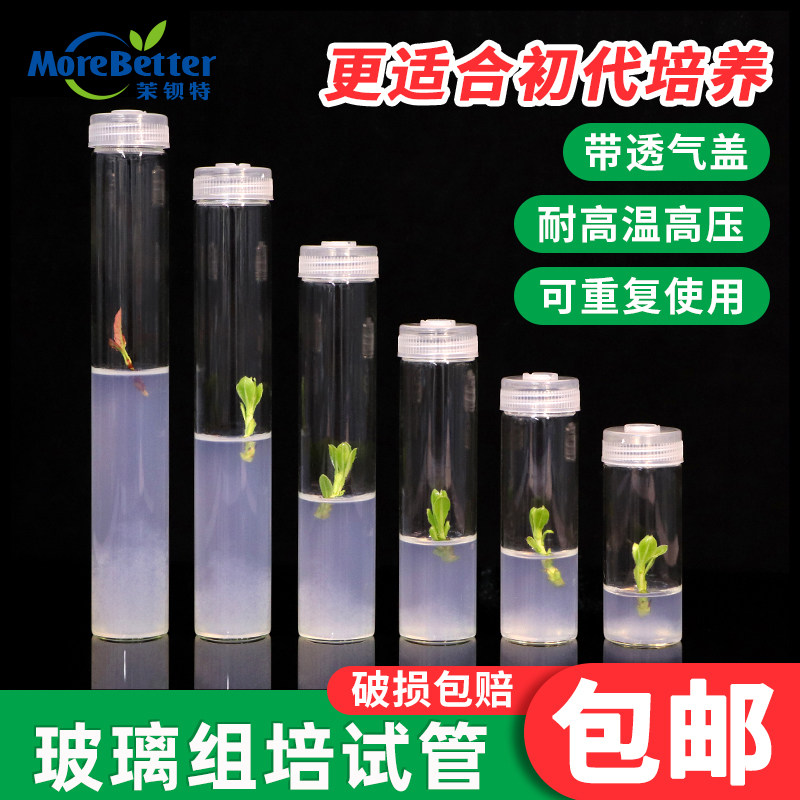茉钡特玻璃组培试管 高硼硅 耐高温高压灭菌带透气盖初代培养瓶子