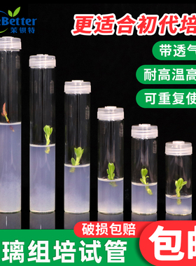 茉钡特玻璃组培试管 高硼硅 耐高温高压灭菌带透气盖初代培养瓶子