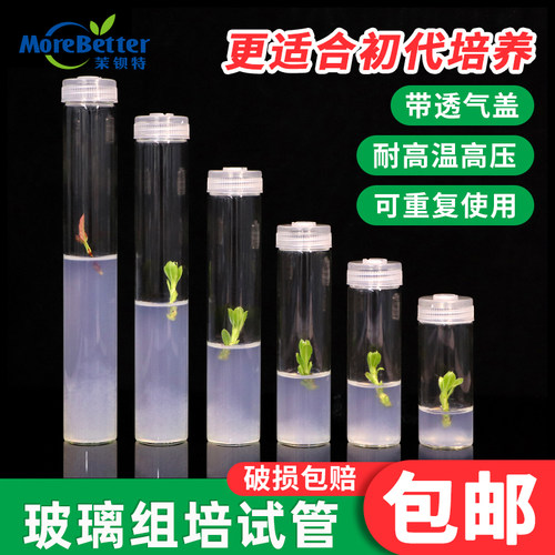 玻璃组培试管耐高温灭菌透气盖
