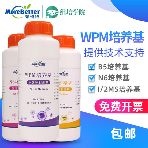 植物食用菌干粉ms培养基