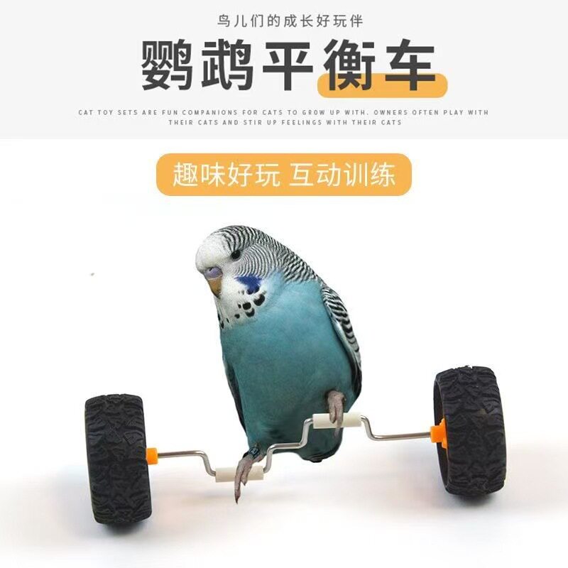 鹦鹉玩具解闷平衡车小中型鸟用品滑轮滑板技能训练道具玄凤鸟玩具