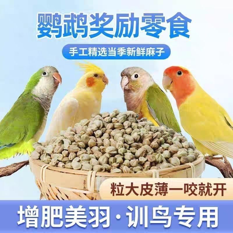 麻子鹦鹉粮训练奖励纸壳麻子饲料奖励零食火麻籽鸟粮鸟食全网代发