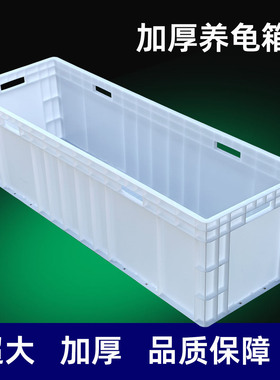 加厚超大养龟箱超长养鱼箱EU欧标乌龟缸水族箱白色养殖箱塑料水池
