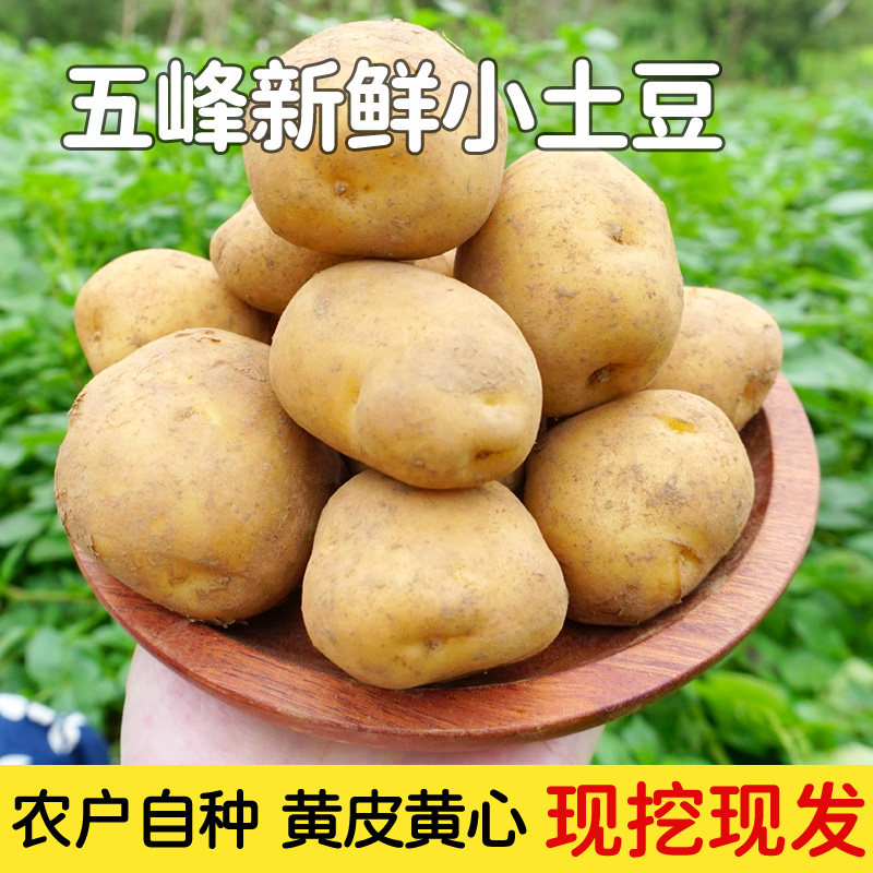 湖北五峰高山小土豆新鲜5斤马铃薯农产品蔬菜黄皮黄心小洋芋包邮