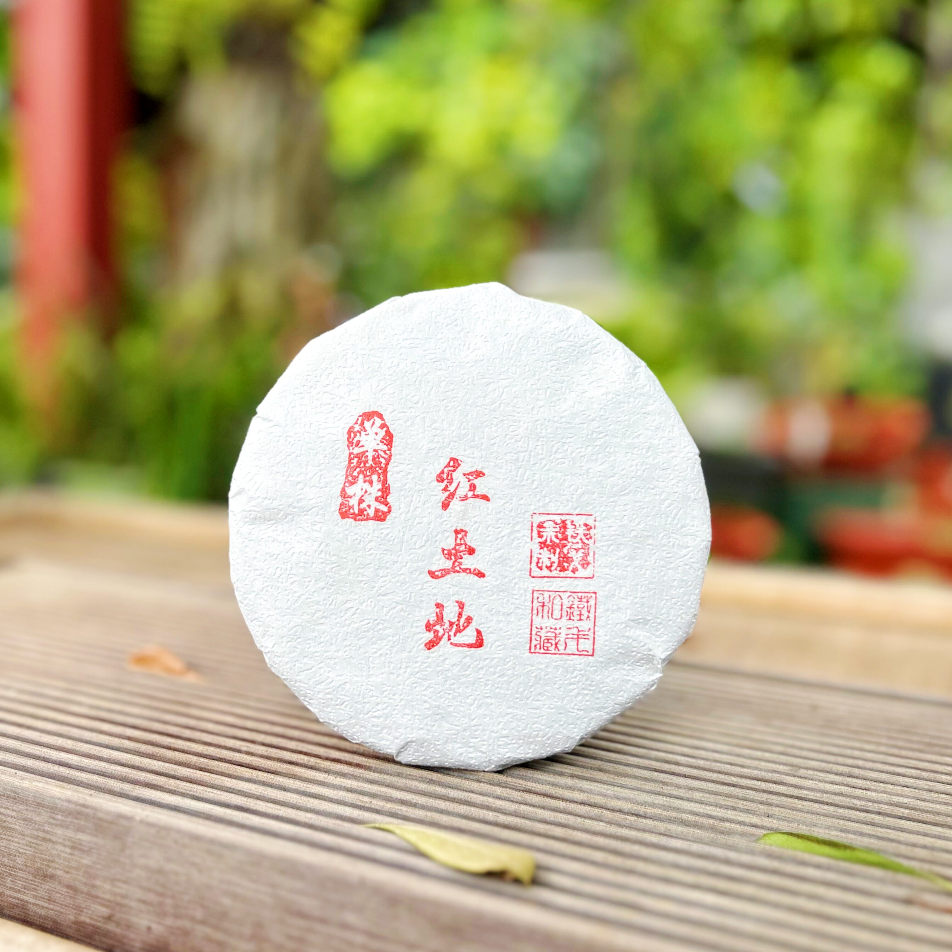 2026年 红土地春茶单株200克饼普洱茶生茶