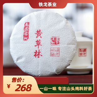 黄草林古树2023年头春普洱茶生茶200克饼云南临沧铁戈制茶