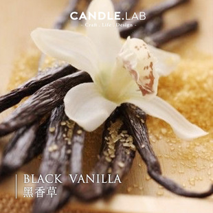 黑香草香料DIY香薰石膏香薰蜡烛扩香石香薰精油26 CANDLE.LAB