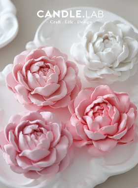 CANDLE.LAB | 虎头茉莉花雕花托盘diy手工香薰石膏扩香石硅胶模具