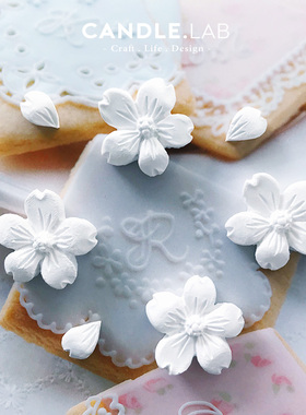 CANDLE.LAB | 樱花花瓣迷你DIY香薰石膏蜡烛扩香石手工硅胶模具26