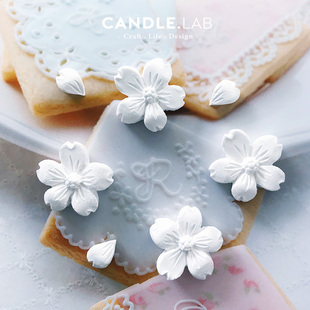 樱花花瓣迷你DIY香薰石膏蜡烛扩香石手工硅胶模具26 CANDLE.LAB