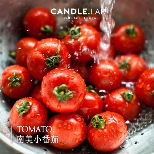 南美小番茄diy香薰蜡烛石膏精油