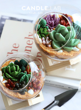 CANDLE.LAB | 逼真多肉仙人掌石子DIY香薰蜡烛扩香石膏硅胶模具