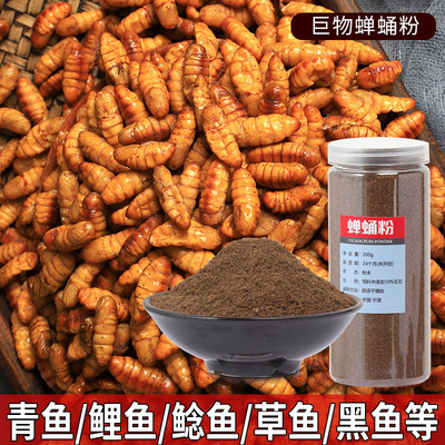 钓鱼专用蚕蛹粉纯正脱脂浓腥饵料诱饵鱼饵窝料野钓黑坑渔具钓饵