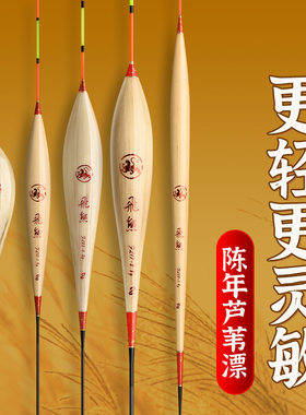 飞熊芦苇浮漂细尾灵敏轻口