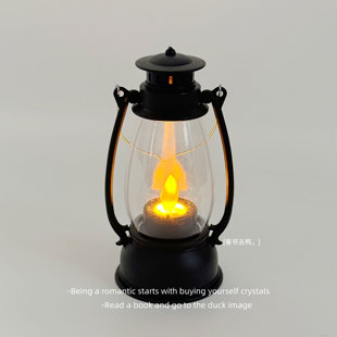 看书去鸭！无聊了让它陪你度过无冬之夜！烛光能晃动！拍照氛围灯