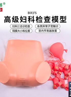 医博BIX-FS高级妇科检查训练模型妇科子宫病变性触诊检查训练教学