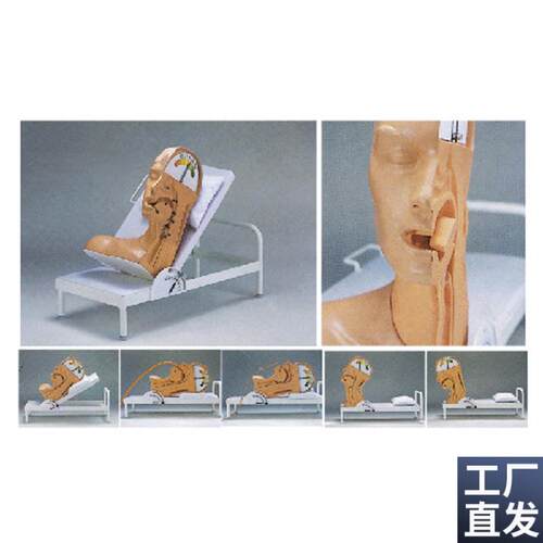 专业职教训练吞咽机t制模型CY-H88上海厂家直销