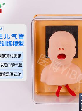 医博BIX-J3A儿童气管插管训练模型婴儿儿童成人气管插管模型教学