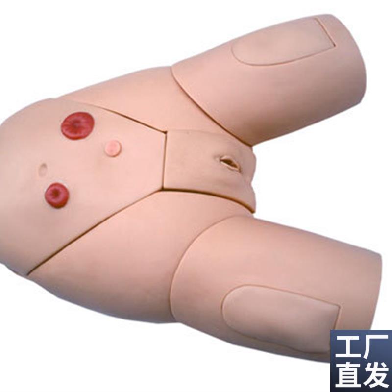高级男女性人体导尿训练模型A灌肠模型医学导尿操作教学模型