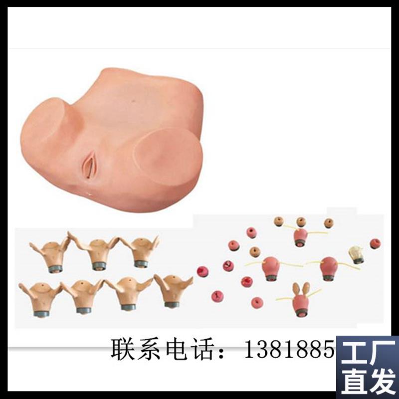 高级妇科综合检查训练模型F宫腔结构镜检查宫颈特价