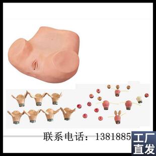 高级妇科综合检查训练模型F宫腔结构镜检查宫颈特价