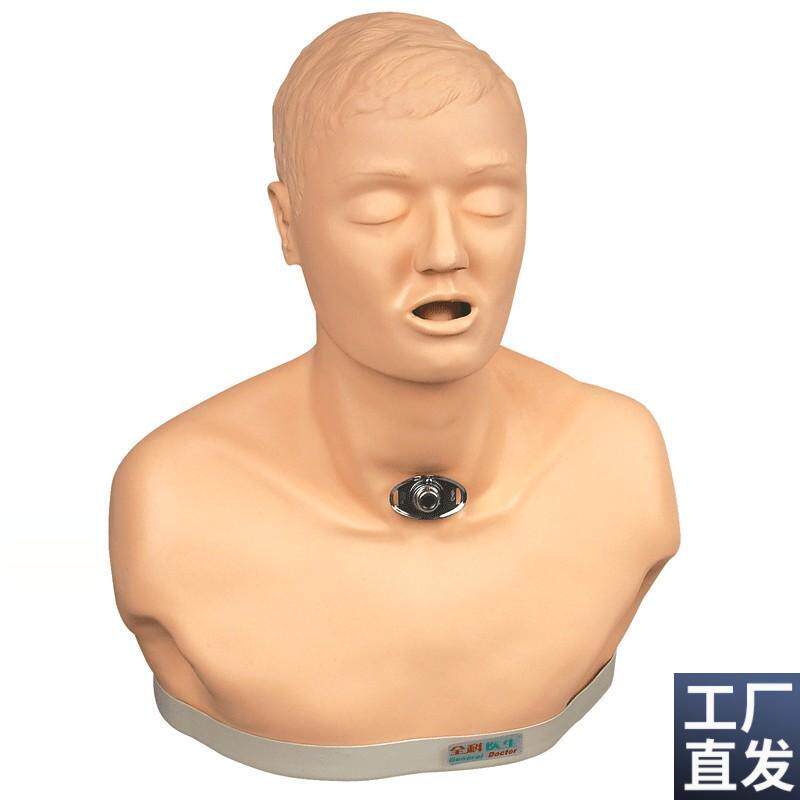 高级成人气管切开护理模型GHD/H23/人体模型