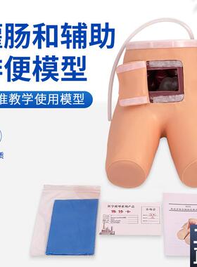 高级灌肠辅助排便训练模型灌肠练习模G具老年排便病人MS/H35