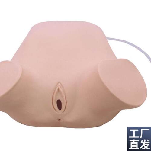 四步触诊肛查阴道检查训练模型妇F科四步触诊法教学骨盆测量