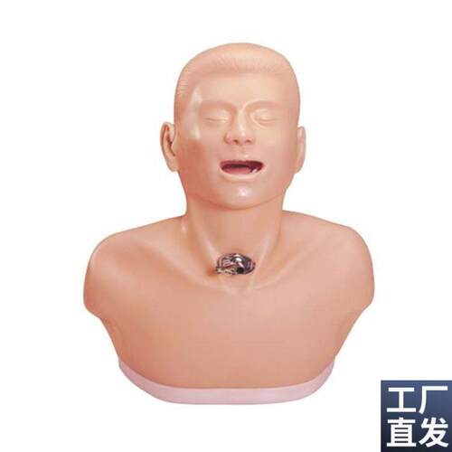 高级成人气管切开护理模型气w管切开护理操作模型教学模型医用模