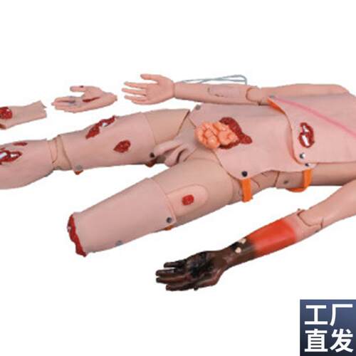 医院护理教学培训高级创伤评估模块护L理人训练高级创伤模型