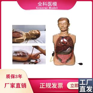 多功能透明洗e胃训练模型鼻饲洗胃术止血吸痰胃镜检查操作人体模