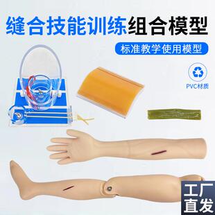 外科技能切开缝合练习肠管手臂腿上G下肢训练模块打结训练模型