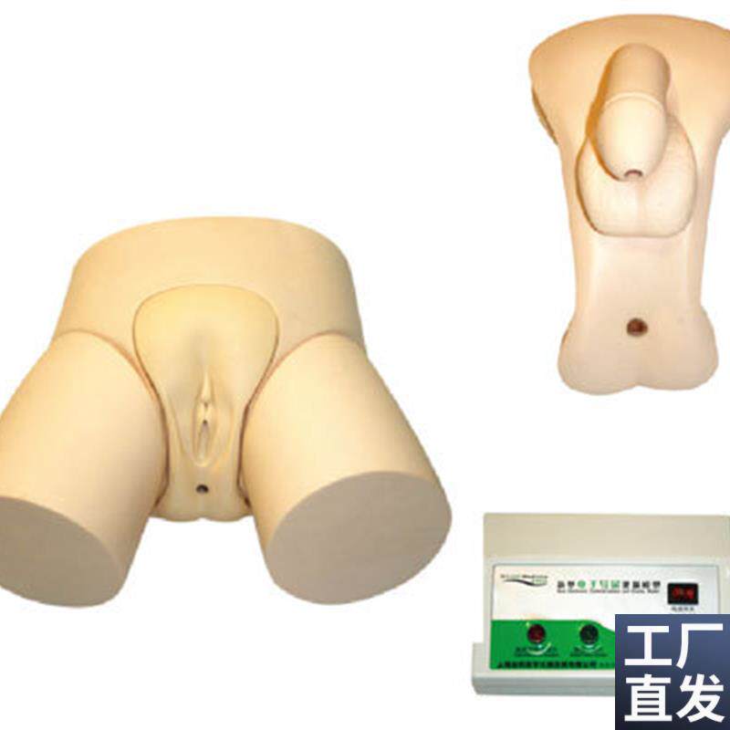 电子导尿灌肠教学实习模型高y级男女护理导尿模型性别互换模具