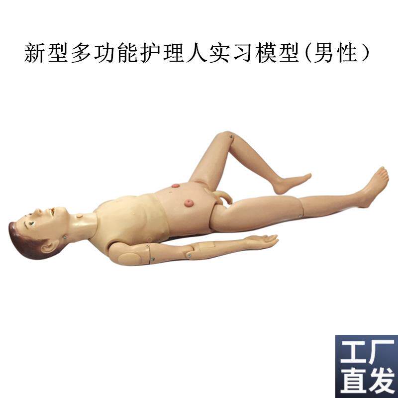 高级关节螺丝固定新型多功D能护理人实习模型(男性)