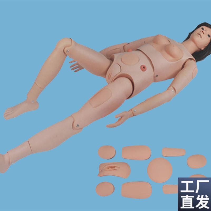 整体护理人模型-伊伊