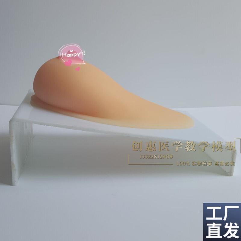女性乳房纯硅胶乳房模型单个z乳房哺乳模型催乳培训模型催乳模型