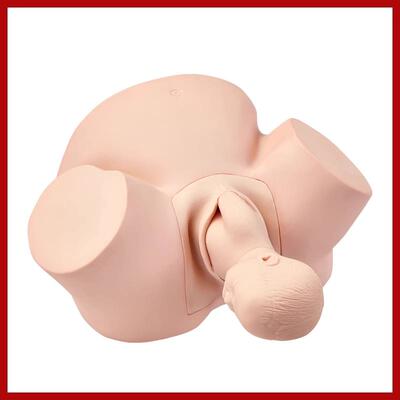 高级助产训练模型女性孕妇助产分娩模型妇科接生分B娩训练模型