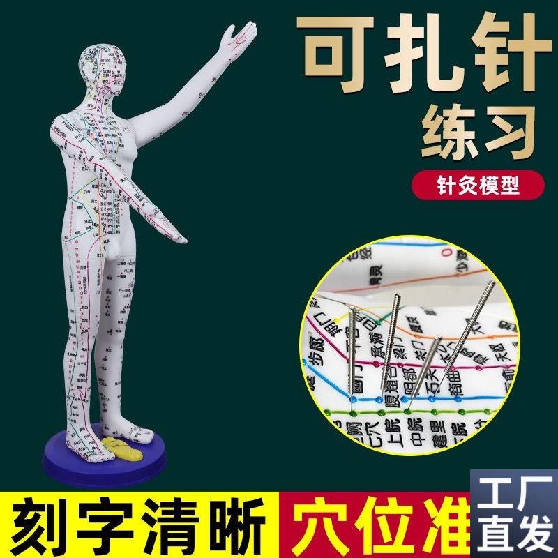 董氏奇穴人体模型仿n真大号中医针灸可扎针十二经络铜人全身穴位