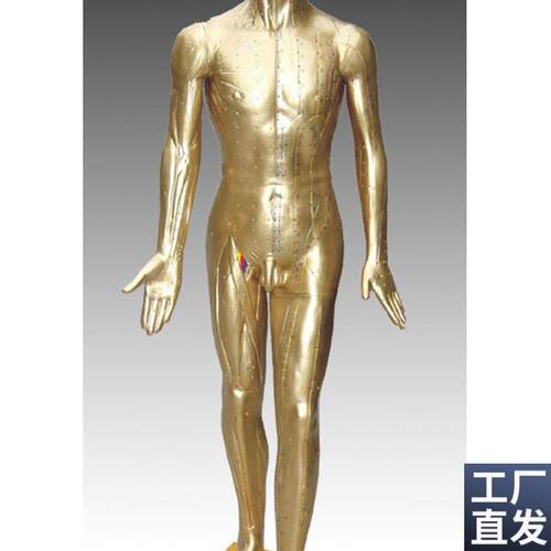 中医标准人体针灸铜人84CM(青铜E色)练习假人经络模具穴位橡皮人