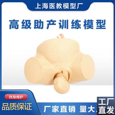 助产训练模型人体模型分娩助产练G习模型胎儿模型妇产科训练